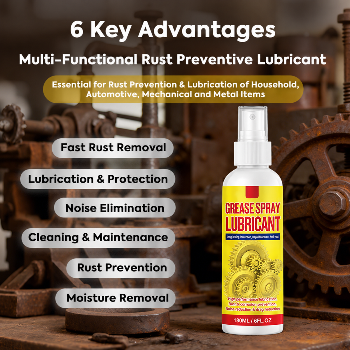 Anti-Rust Lubricant Spray & Rust Remover