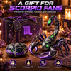 ♏Scorpio 🦂