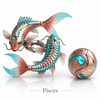 ♓ Pisces 🐟