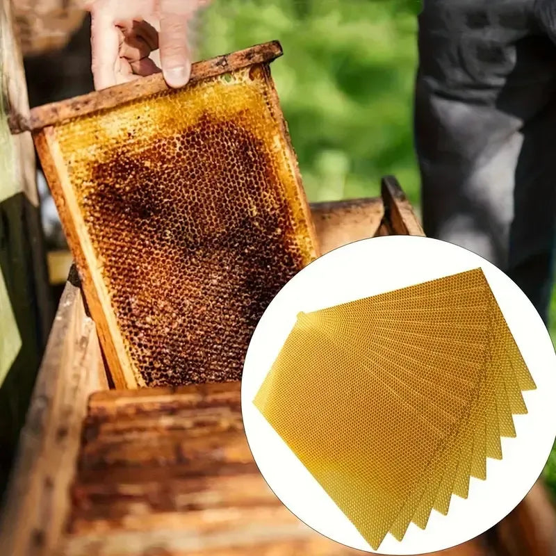 🌈DIY Beeswax Candle Making Kit (12-Piece Set) – Create Your Own Cozy Glow!✂️
