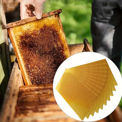 🌈DIY Beeswax Candle Making Kit (12-Piece Set) – Create Your Own Cozy Glow!✂️