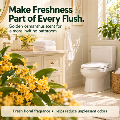 🚽 Automatic Toilet Cleaner Blocks – Cleans & Freshens Every Flush 🛒