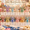 Complete Set · All 12 Months（）