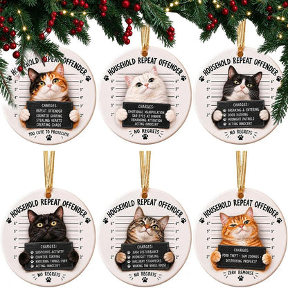 😼 Cat Mugshot Ornament Collection⏳