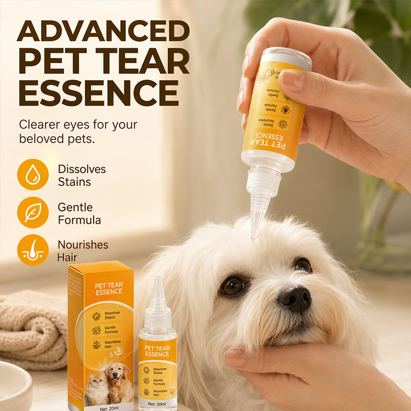 Eye-area grooming example on a dog