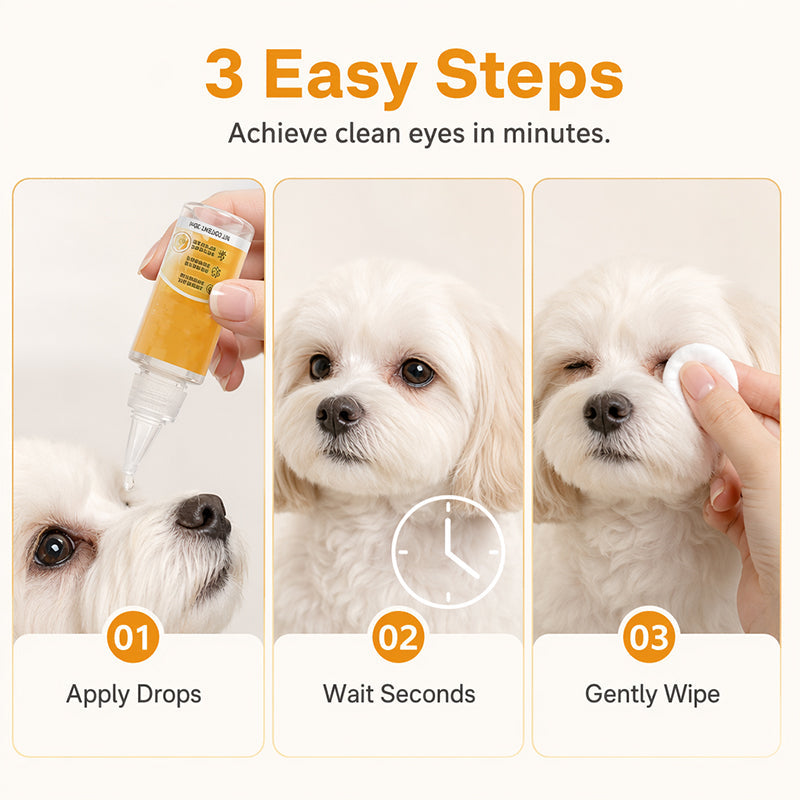 Illustrated pet grooming steps