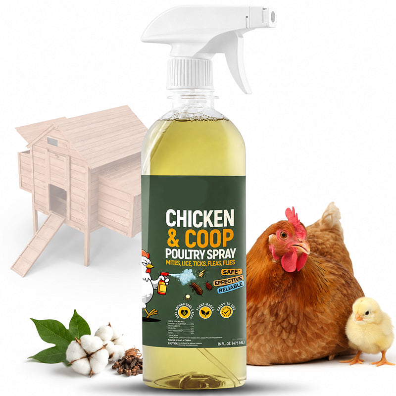 📢📢LIMITED-TIME 50% OFF!⚡🐔Poultry & Chicken Coop Mite and Lice Spray❄️