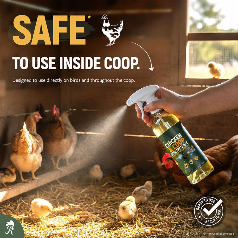 📢📢LIMITED-TIME 50% OFF!⚡🐔Poultry & Chicken Coop Mite and Lice Spray❄️