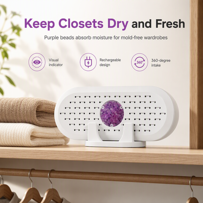 ⏰Mini Reusable Household Dehumidifier🔥❄️