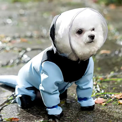 🔥LIMITED-TIME 50% OFF! ⏰Full-Coverage Pet Raincoat – Waterproof & Easy to Wear🌧️